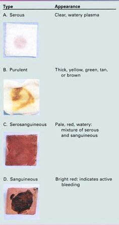 HESI Case Studies: wound drainage Nursing Student Tips, Nursing Process