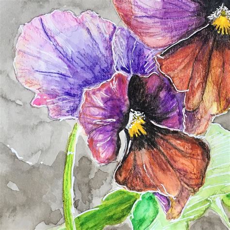 Pansy Art Print - Etsy