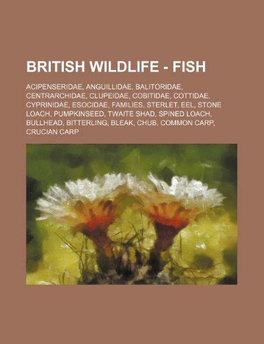 British Wildlife - Fish: Acipenseridae, Anguillidae, Balitoridae, Centrarchidae, Clupeidae ...