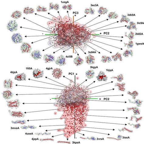 Creating a global map of the protein shape universe - Purdue University News