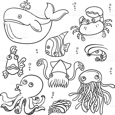 ラインアートスタイルの漫画の海の動物、黒と白 | Cartoon sea animals, Easy drawings for kids ...