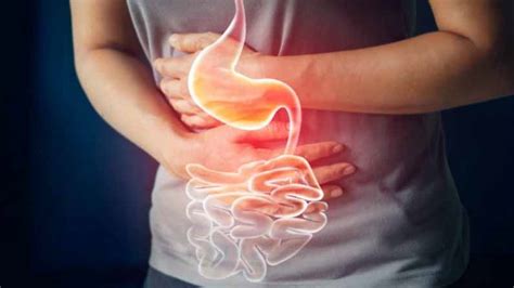 What Causes Gastric Problems? - Rufa Fish Spa