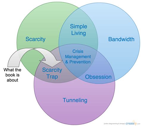 Book Review: Scarcity: Why Having Too Little Means So Much