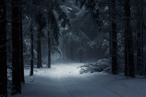 landscape nature winter forest snow mist daylight path trees atmosphere fairy tale Hungary ...