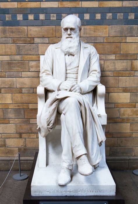 Charles Darwin Monument, National History Museum, London Editorial ...