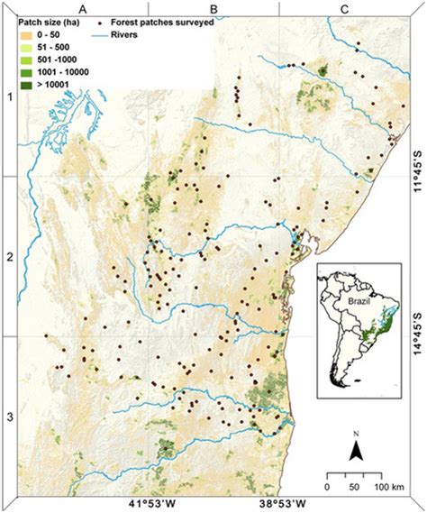 Key mammals dying off in rainforest fragments