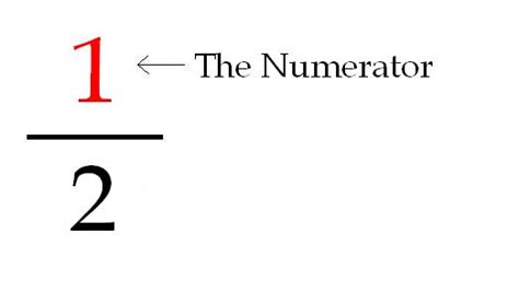 numerator - definition - What is