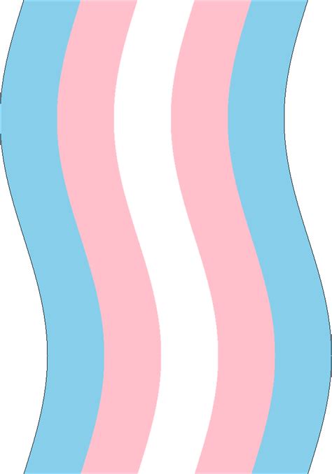 Jumbo Transgender Flag - Tumblr Pics