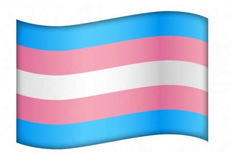 Unicode refused to approve a trans flag emoji. Instead we got... a ...