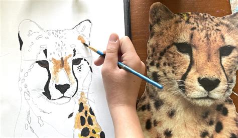 Young Entrepreneurs Create Art That Benefits Cheetahs - Cheetah Conservation Fund Canada