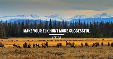 Tips to Make Your Elk Hunt More Successful - Soap Mesa Outfitters