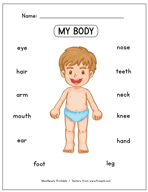 Body Parts Worksheet Preschool - 32 best Drawing a person/body parts images on Pinterest ...