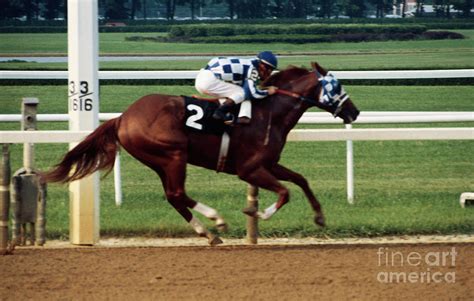 Secretariat Running On Track Photograph by Bettmann - Pixels