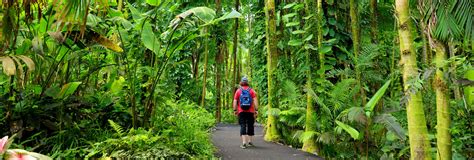 Big Island Top 25+ Hiking Trails | Best Big Island of Hawaii Hikes