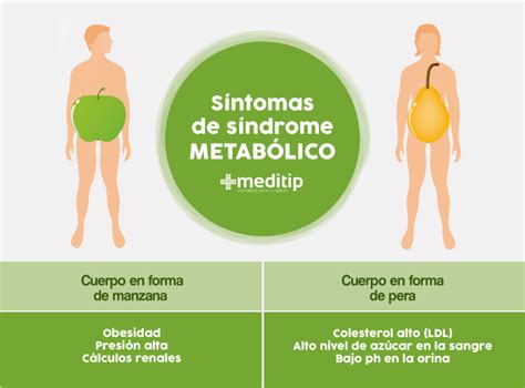 Síndrome metabólico: definición, causas y diagnóstico - Meditip