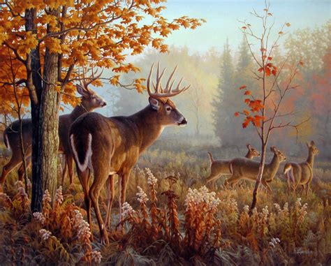 Whitetail deer painting by Greg Alexander | Deer art, Wildlife art ...