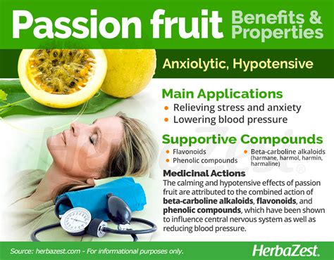 Passion Fruit | HerbaZest