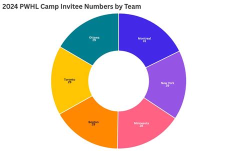 Women’s Division I College Hockey: PWHL training camp rosters dominated ...