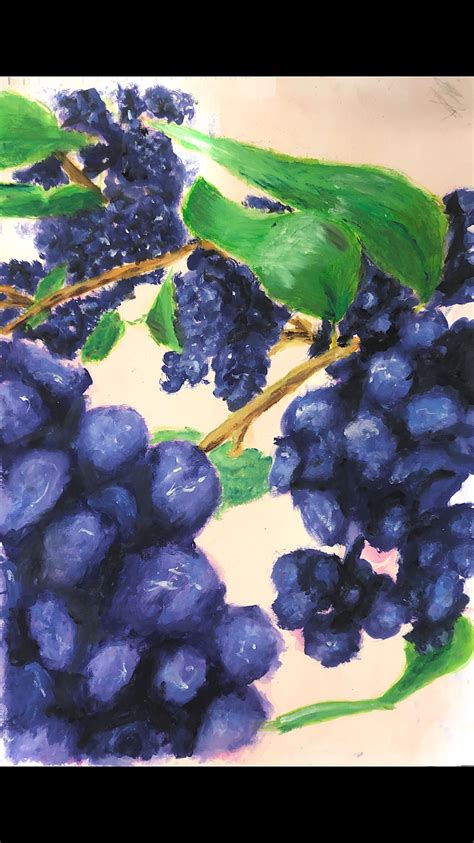 Pin by Jessica Hegarty on Portfolio | Fruit, Grapes, Food