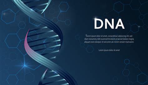 Dna Structure Banner Stock Illustration - Download Image Now ...