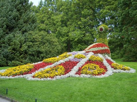 Blumeninsel Mainau | Insel mainau, Insel, Insel meinau