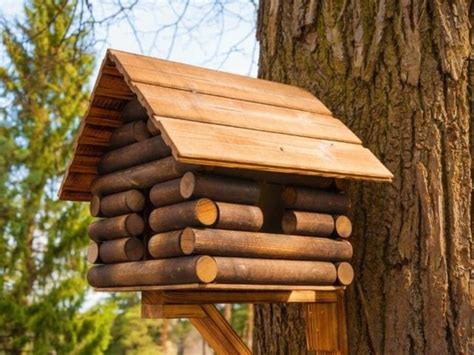 Nesting Box Height: How High Should a Nesting Box Be?