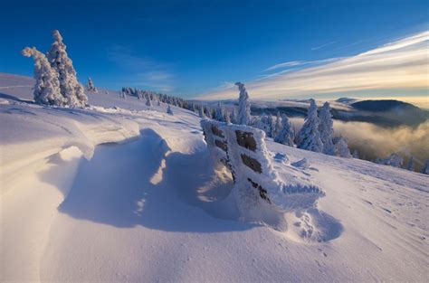 Gipfeltour am Feldberg - Schneeschuhtrail | Schwarzwald Tourismus GmbH