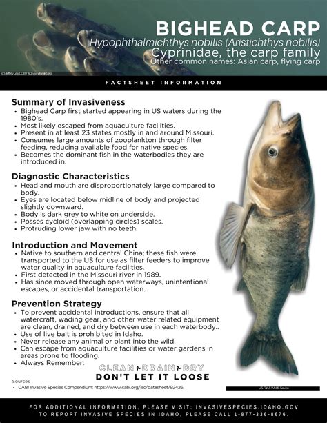 Bighead Carp Factsheet — Invasive Species of Idaho