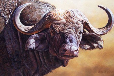 Water Buffalo - by Alan Hunt | Buffalo animal, Animals artwork, Animal paintings