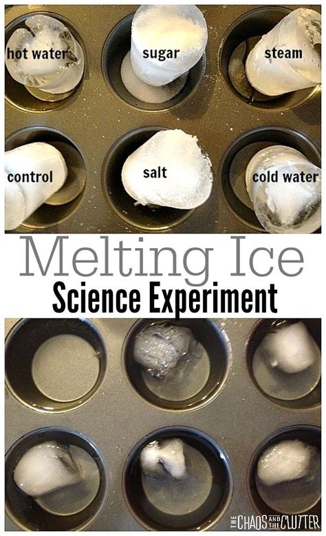 Melting Ice Experiment | Easy science fair projects, Easy science, Science fair