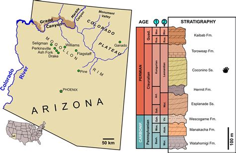 Newly Discovered Fossil Footprints from Grand Canyon National Park Force Paleontologists to ...