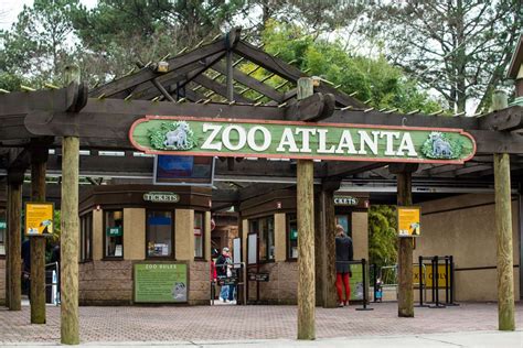 ZOO ATLANTA FOOD OPTIONS & TIPS FOR PLANNING YOUR VISIT