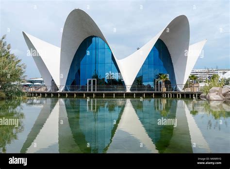 Oceanografic building, location of the largest aquarium in Europe, in ...