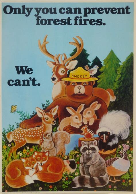 1979 Smokey the Bear Fire Prevention Poster Vintage Ads, Vintage ...