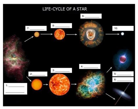 Star Life Cycle Worksheet