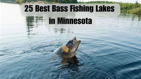 25 Best Bass Fishing Lakes in Minnesota: A Guided Tour