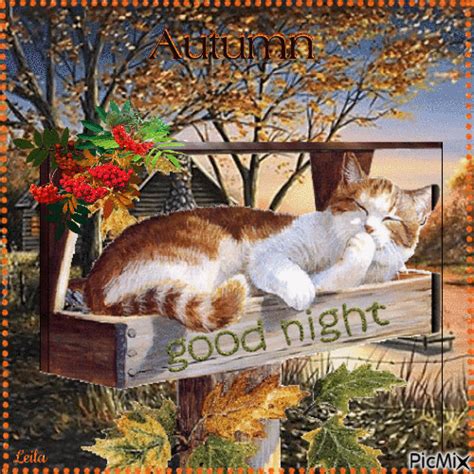 Good Night. Autumn. Cat - Free animated GIF - PicMix