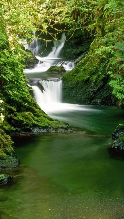 22 best Olympic Peninsula Waterfall Trails!!! images on Pinterest | Olympic peninsula, Nature ...