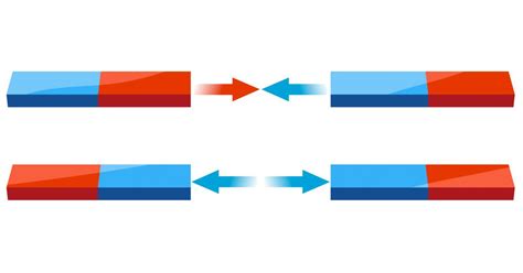 Magnetic Poles | Facts About Magnets | DK Find Out