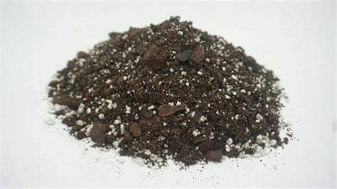 Best Indoor Soil For Plants - Indoor Plants