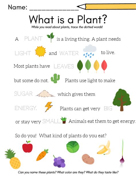 FREE Plants Worksheets for Preschool (5 pages) | Plant lessons, Plants ...