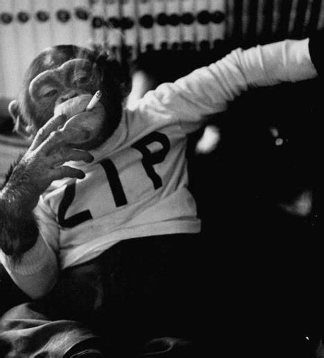 monkey_cigarette Blank Template - Imgflip