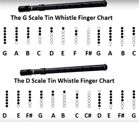 G Vs D Comparison Tin Whistle Finger Chart | Tin whistle, Whistle, Flute sheet music