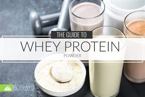 Guide To The Best Whey Protein Powder - Elevays