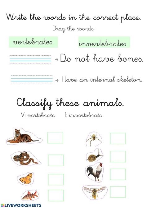 Liveworksheets Vertebrates And Invertebrates