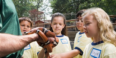 What Is A Zookeeper? | Uni Compare