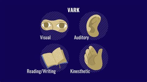 VARK - The Four Different Learning Styles - Blue Lion Training Academy