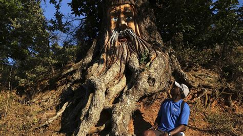 El 'Bosque encantado' que se esconde en Málaga y que no sólo es ideal ...