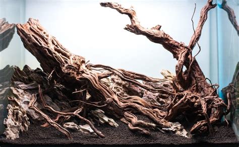 How To Make Your Own DIY Aquarium Driftwood For Your Fish