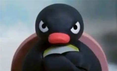 Angry penguin | Pingu desenho, Rostos de meme, Imagem de memes